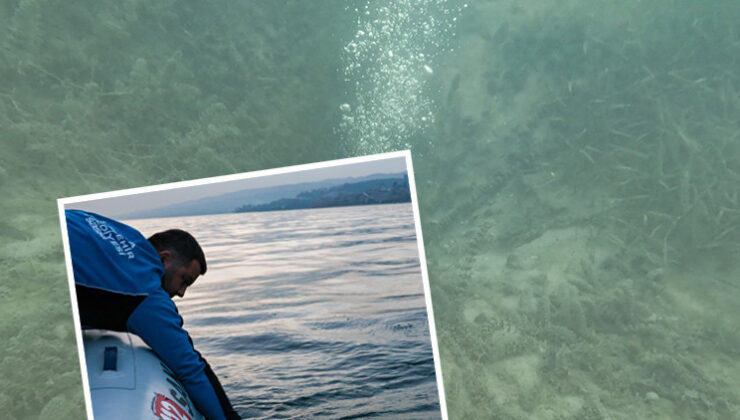 Sosyal medyada çok konuşulmuştu: Sapanca Gölü’ndeki esrarengiz görüntünün nedeni ortaya çıktı