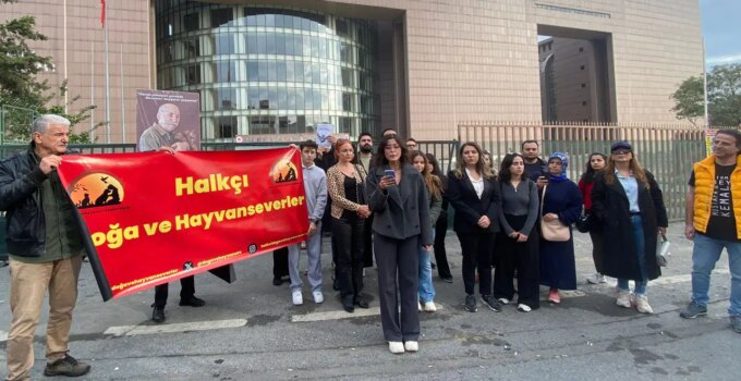 Tepkiler sonuç verdi… Bakırköy Adliyesi’nde ‘kedilerin sürülmesi’ kararı geri çekildi: ‘Kedi evleri yapılacak’