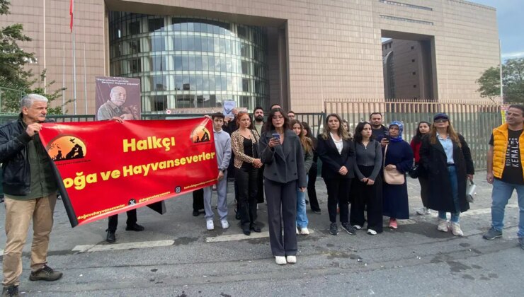 Tepkiler sonuç verdi… Bakırköy Adliyesi’nde ‘kedilerin sürülmesi’ kararı geri çekildi: ‘Kedi evleri yapılacak’