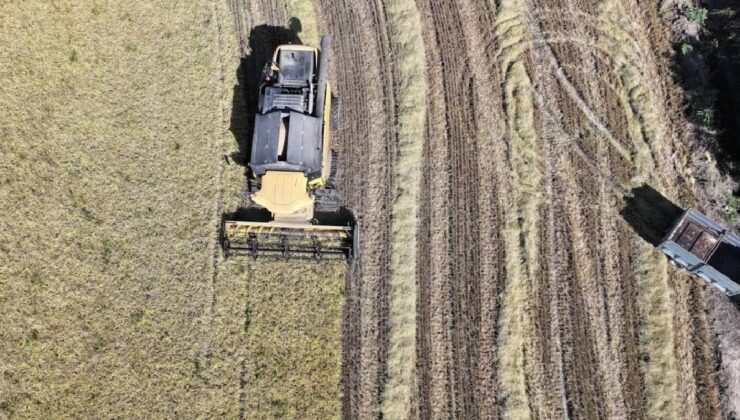 TMO’dan arpa ve mısır ithalatı açıklaması: Karar yeni değil, kontenjan güncellemesi