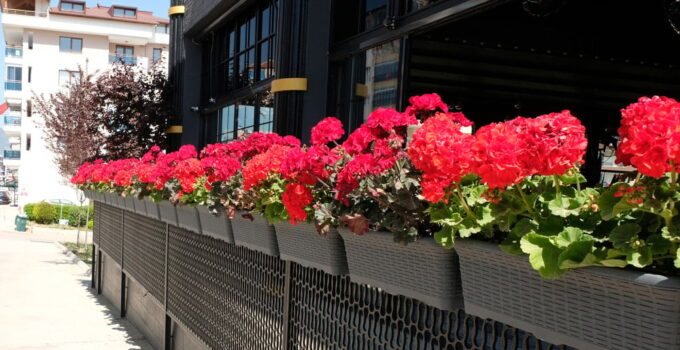 Türkiye'den 80 ülkeye gidiyor: Dünya bu ürünü kasa kasa bizden alıyor