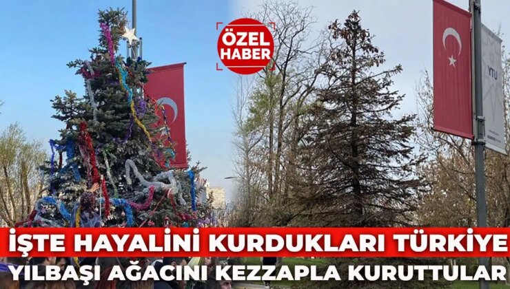 Yıldız Teknik Üniversitesi’nde gericilerden ‘Yıldızlı Ağaç’a kezzap saldırısı