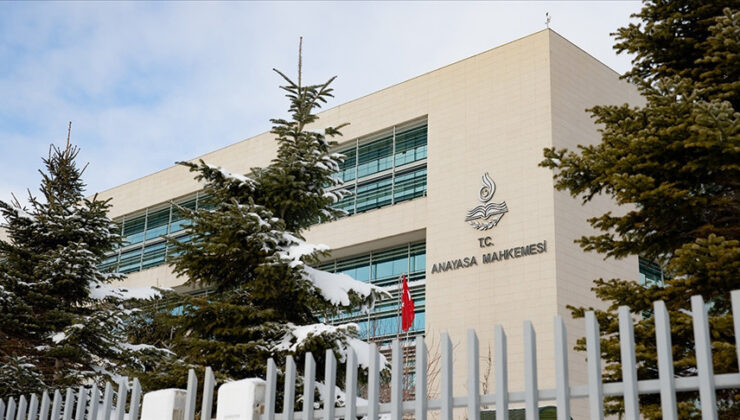 AYM, sahipsiz hayvanlarla ilgili düzenlemenin iptali istemini reddetmesinin gerekçesini açıkladı