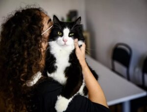 Bu tarihi kaçıran evcil hayvan sahipleri yandı! Katbekat fazlasını ödeyecekler