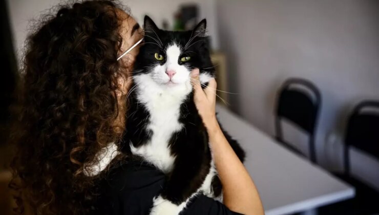 Bu tarihi kaçıran evcil hayvan sahipleri yandı! Katbekat fazlasını ödeyecekler