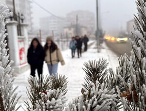 Burası Sibirya değil Türkiye! Buzdan kente dönüştü: Sıfırın altında 15 dereceyi gördü | ‘Allah bize yardım etsin’