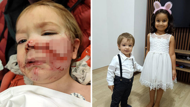 İki küçük kardeş evlerinin önünde vahşeti yaşamıştı! Karşı komşu gözaltına alındı