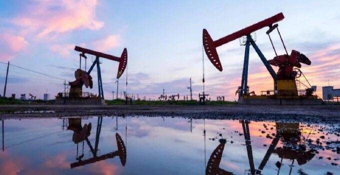 OPEC'in ham petrol üretimi kasımda günlük 1000 varil azaldı