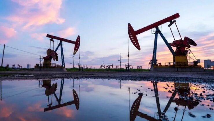 OPEC'in ham petrol üretimi kasımda günlük 1000 varil azaldı