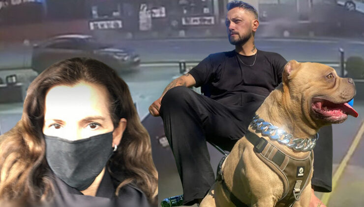 Şişli’deki feci kazada 2 kişi hayatını kaybetmişti! Kahreden detay ortaya çıktı: Hakan öldü, köpeği kayıp