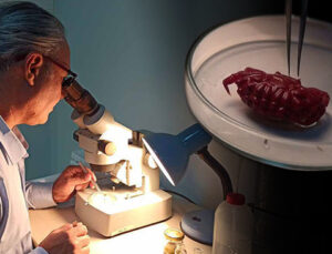 Türkiye kıyılarında ilk kez görüldü! ‘2 santimetre büyüklüğünde popülasyonu artacak’