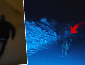 Aracından inip görüntülemek istedi: Saldırıya uğradı!