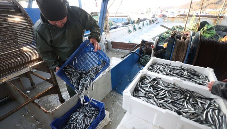 Denize açılan balıkçılar limana servetle döndü: Kasası 1500 lira