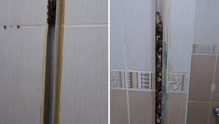 Öğrencilere kiraya verdiği eve giren kadın, gördüğü manzara karşısında sinir krizi geçirdi