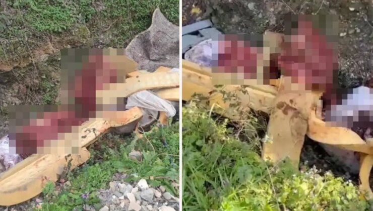 Sakarya’da çalılık alana hayvan kemiği attığı tespit edilen 2 şüpheli yakalandı