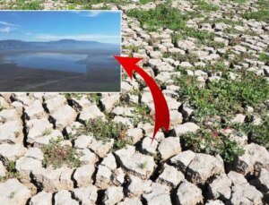 3 ilçeyi besleyen göl yeniden su tutmaya başladı! Her yerden su fışkırıyor