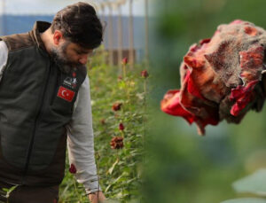 Adana’yı don vurdu: Dalında kurudu! ‘Fiyatı yüzde 50 arttı, 14 Şubat’ta daha da yükselecek’