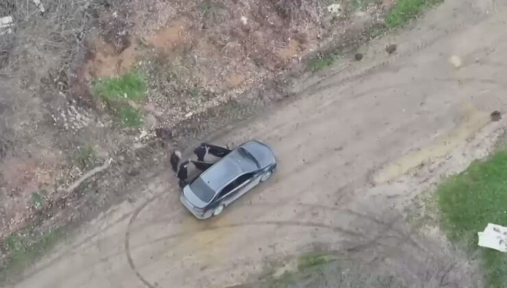 Arnavutköy’de çiftlik sahibi çalışanını elektrikli testereyle yaraladı