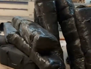 Bakan Yerlikaya duyurdu: 240 kg Skunk Uyuşturucu Maddesi ele geçirdik