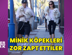 Brooklyn Beckham ve Nicola Peltz çiftinin yaramaz köpeklerle imtihanı