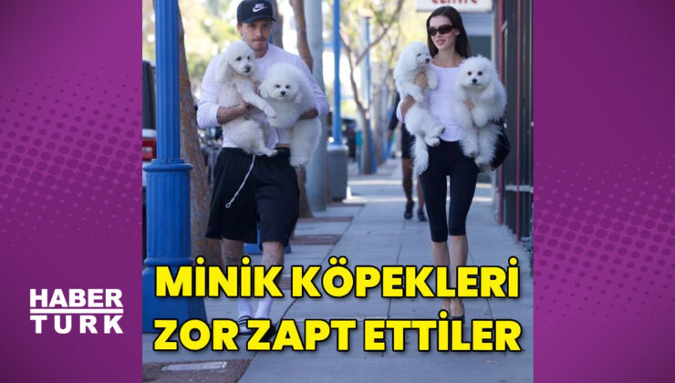 Brooklyn Beckham ve Nicola Peltz çiftinin yaramaz köpeklerle imtihanı