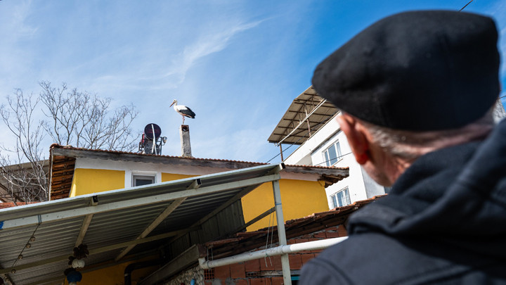 Bursa’da Yaren leylek bekleniyor… Eşi Nazlı geldi