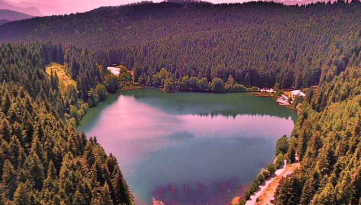 CHP’li Süreyya Öneş Derici’den Milli Parklar Kanunu teklifine tepki: Milli parklar sıradan kamu arazileri değildir