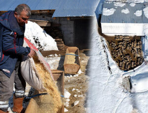 Doğup büyüdüğü mahallesine döndü: 4 yılda hayatı değişti! ‘Tüm zorluklara rağmen seviyorum’