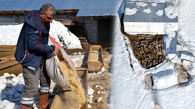 Doğup büyüdüğü mahallesine döndü: 4 yılda hayatı değişti! ‘Tüm zorluklara rağmen seviyorum’