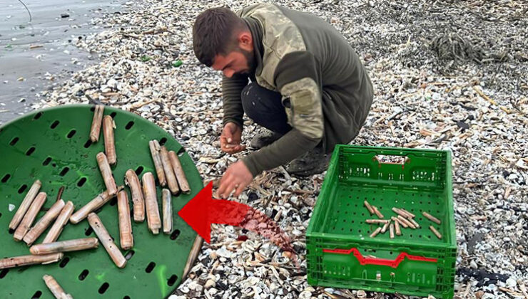 Fırtına sonrası sahile vurdular! Balıkçılar tek tek topladı: Normalde para verip alıyoruz