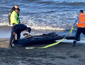 İHA alarmı! Ordu’da sahile vurdu