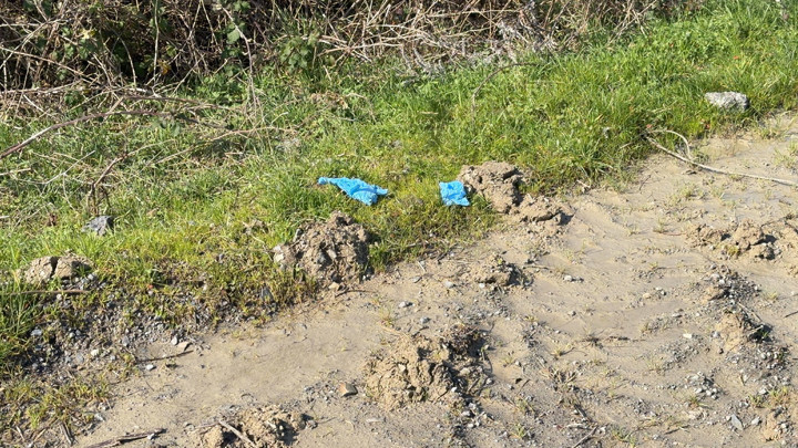 İstanbul’da korkunç olay! Çinli iş insanının cesedi elleri ve ayakları bağlı toprağa gömülü bulundu