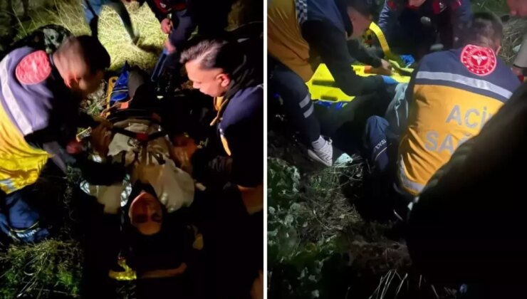 Korkunç olay! 50 metreden düştü, takıldığı ağaçlar hayatını kurtardı