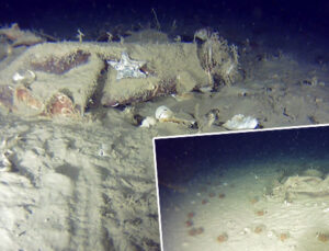 Marmara Denizi’ndeki 51 yıllık sır: 42 kişiye mezar olmuştu! Düşen uçakla ilgili yeni görüntüleri ortaya çıktı