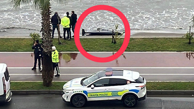 Ordu’nun Ünye ilçesinde sahile vurdu: Bölgeye ekipler sevk edildi