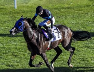 "100 milyonluk yarış atları kayıp" iddiasına açıklama geldi