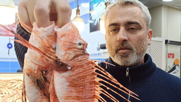 Tezgahta satışı yasak: Zehirli olmasına rağmen özel müşterisi var