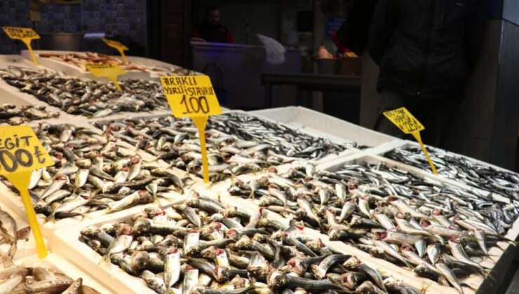 Trabzon'da istavrit bolluğu: Kilosu 100 liraya düştü