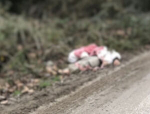 Umut tacirleri tarafından tırla getirilip köye bırakıldılar… 1 göçmen soğuktan öldü