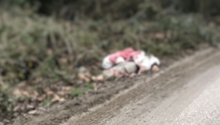 Umut tacirleri tarafından tırla getirilip köye bırakıldılar… 1 göçmen soğuktan öldü