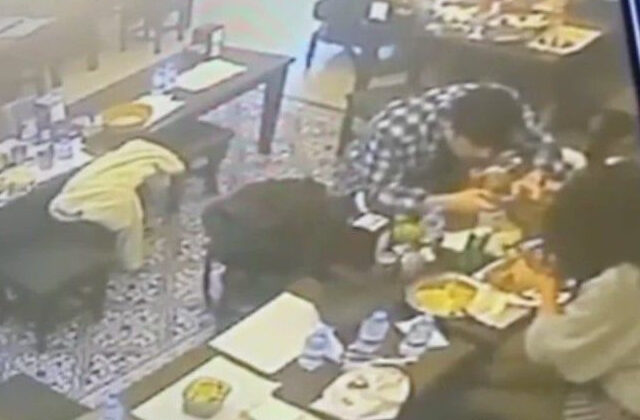 Taksim’de yemekten çıkan böcek müşterinin dudağını ısırdı