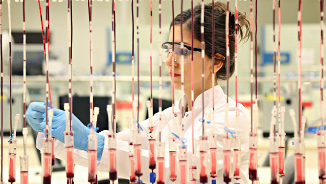 Türk Kızılay’dan iftar sonrası kan bağış daveti